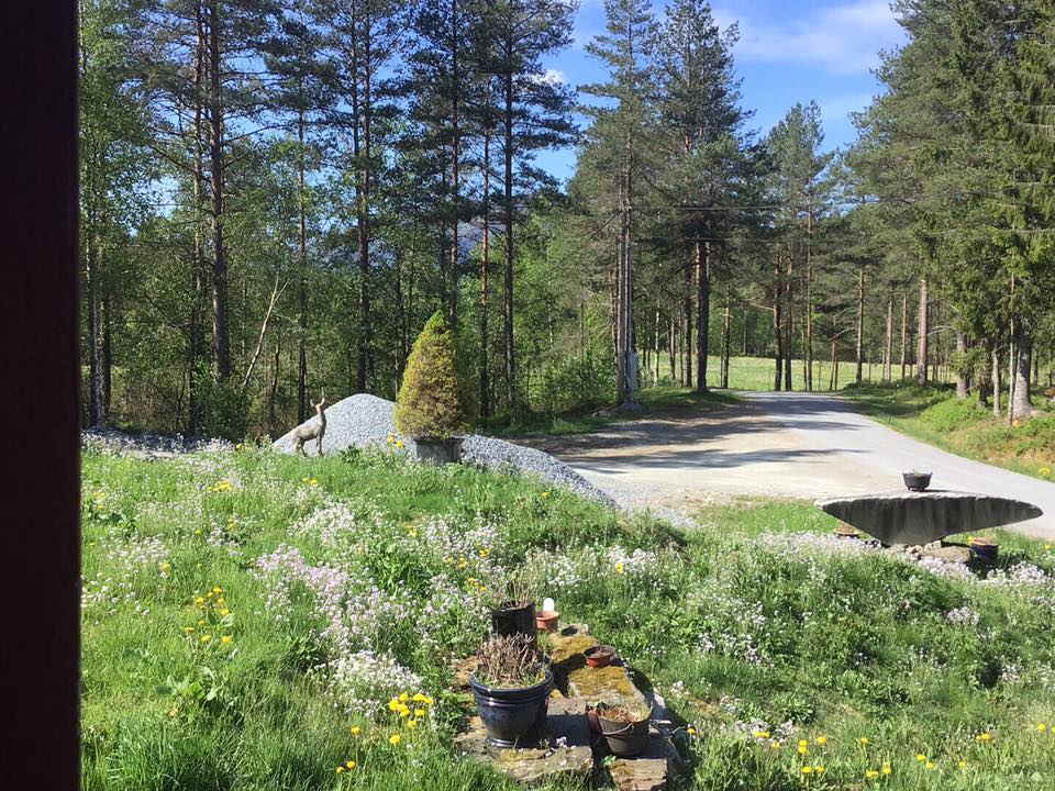 gårsplassen til campingen